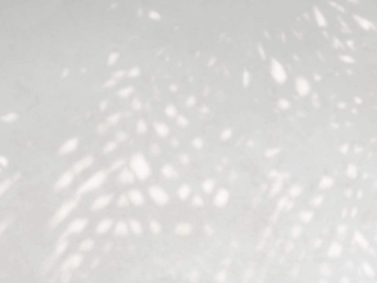 ombre abstraite de feuilles sur un fond de mur blanc photo