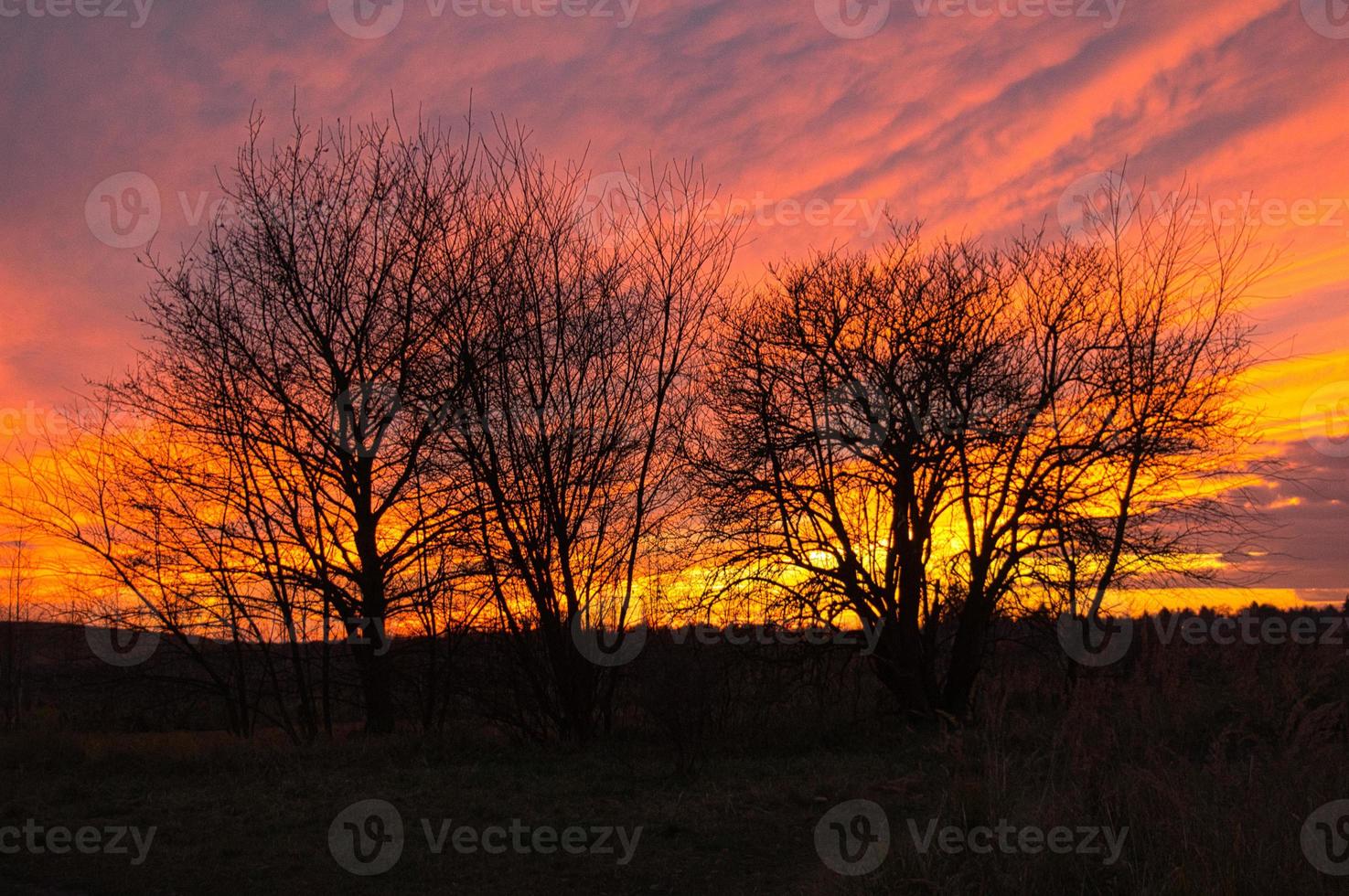 coucher de soleil avec ciel brûlant derrière les arbres. photo