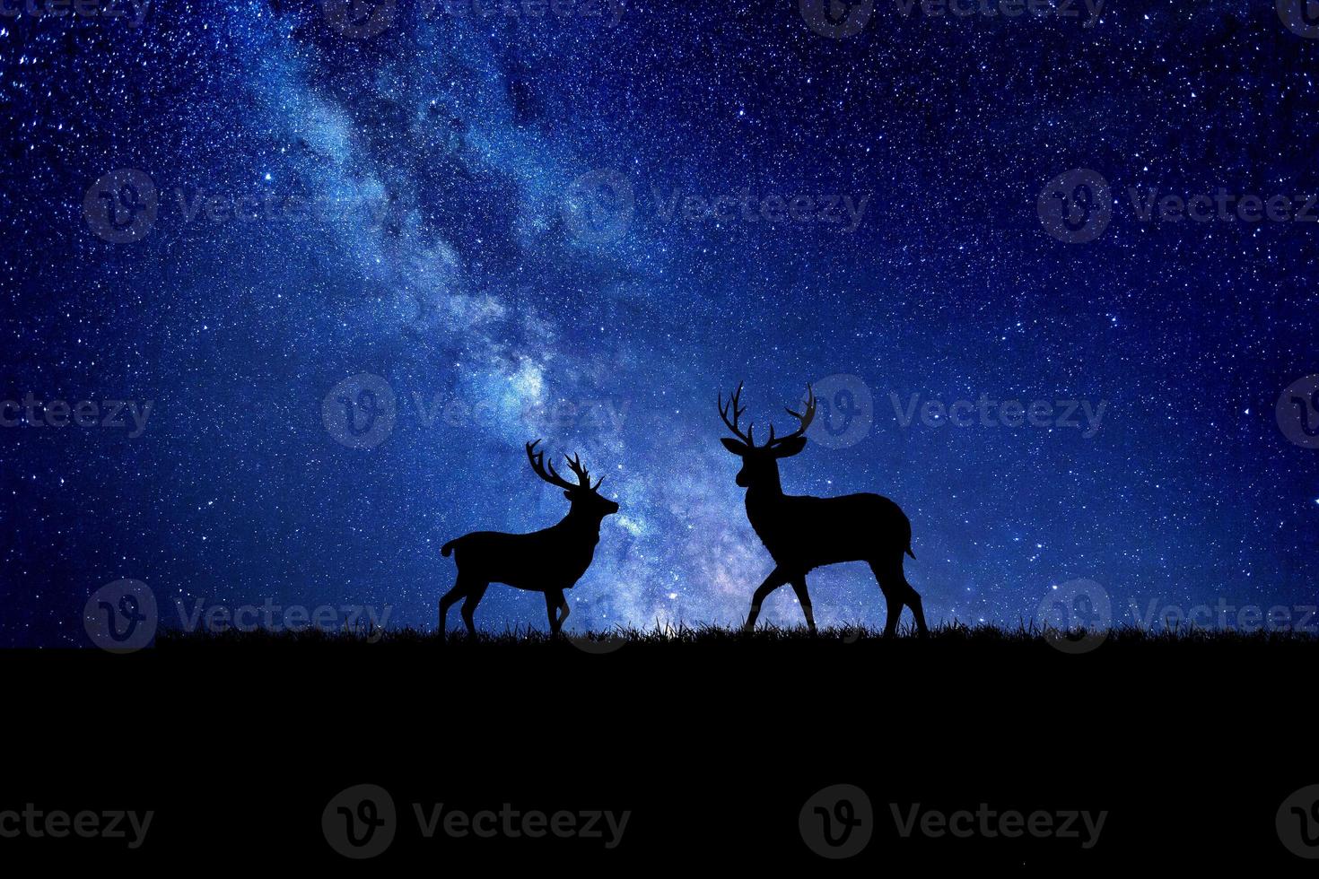 silhouette de cerf de nuit sur fond de voie lactée. belles images de fond photo