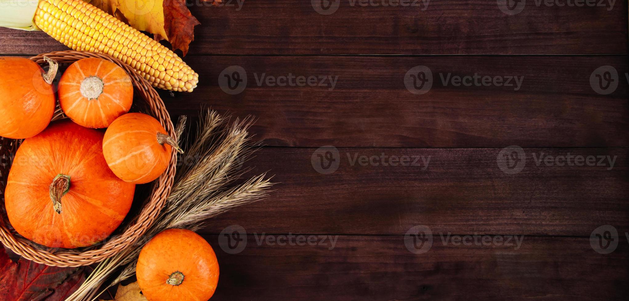 récolte d'automne et action de grâces. citrouilles mûres, maïs et blé sur fond en bois. forme de bannière. photo