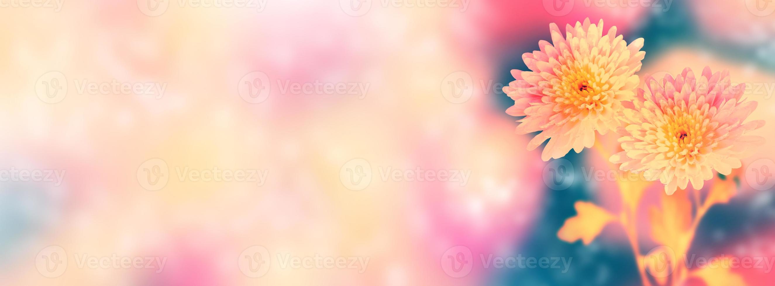 fleurs de chrysanthème colorées sur fond de paysage d'automne photo