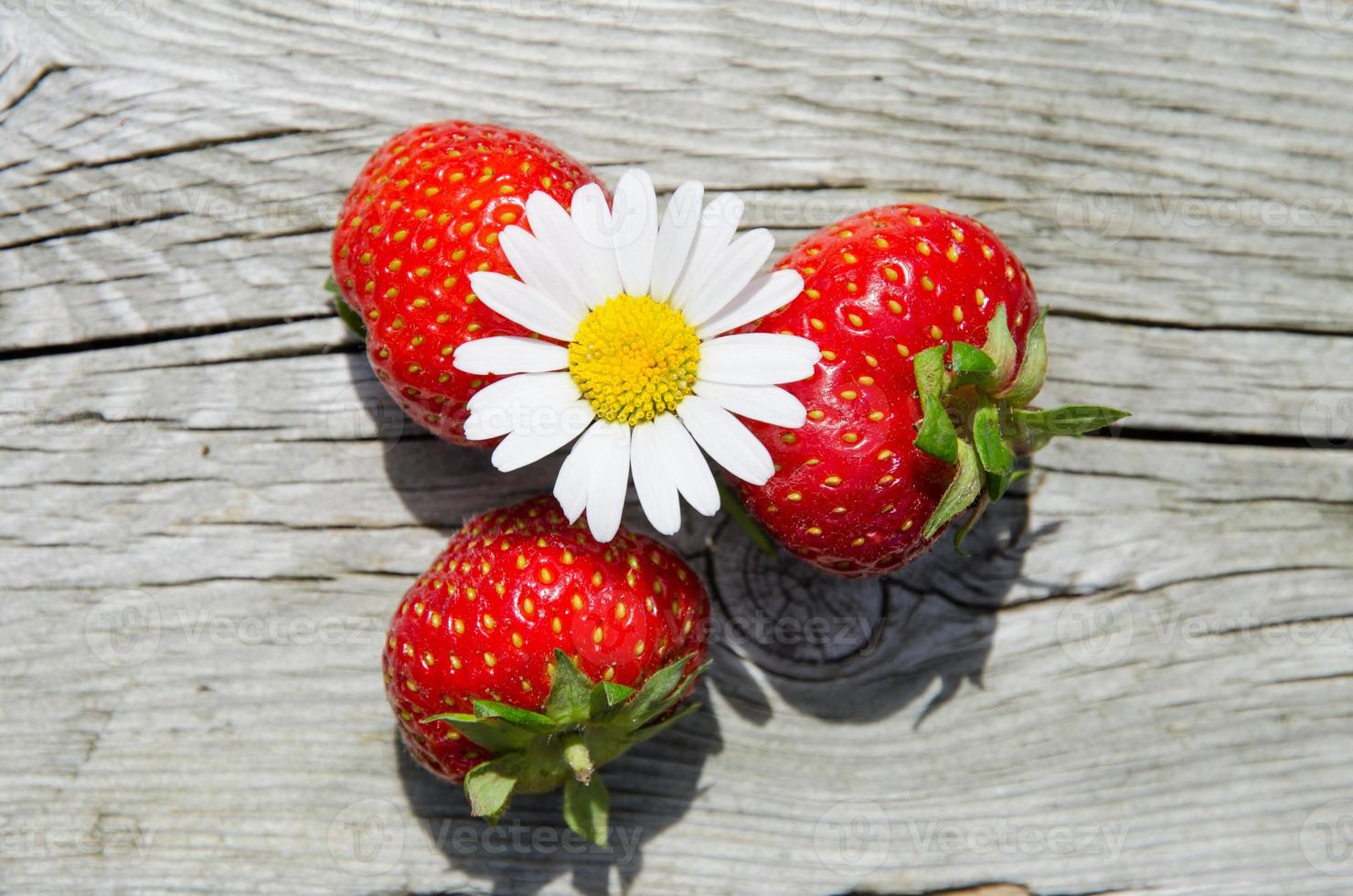objets d'été - marguerite et fraises photo