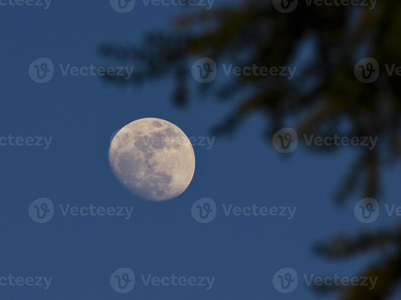 lune dans le ciel bleu photo