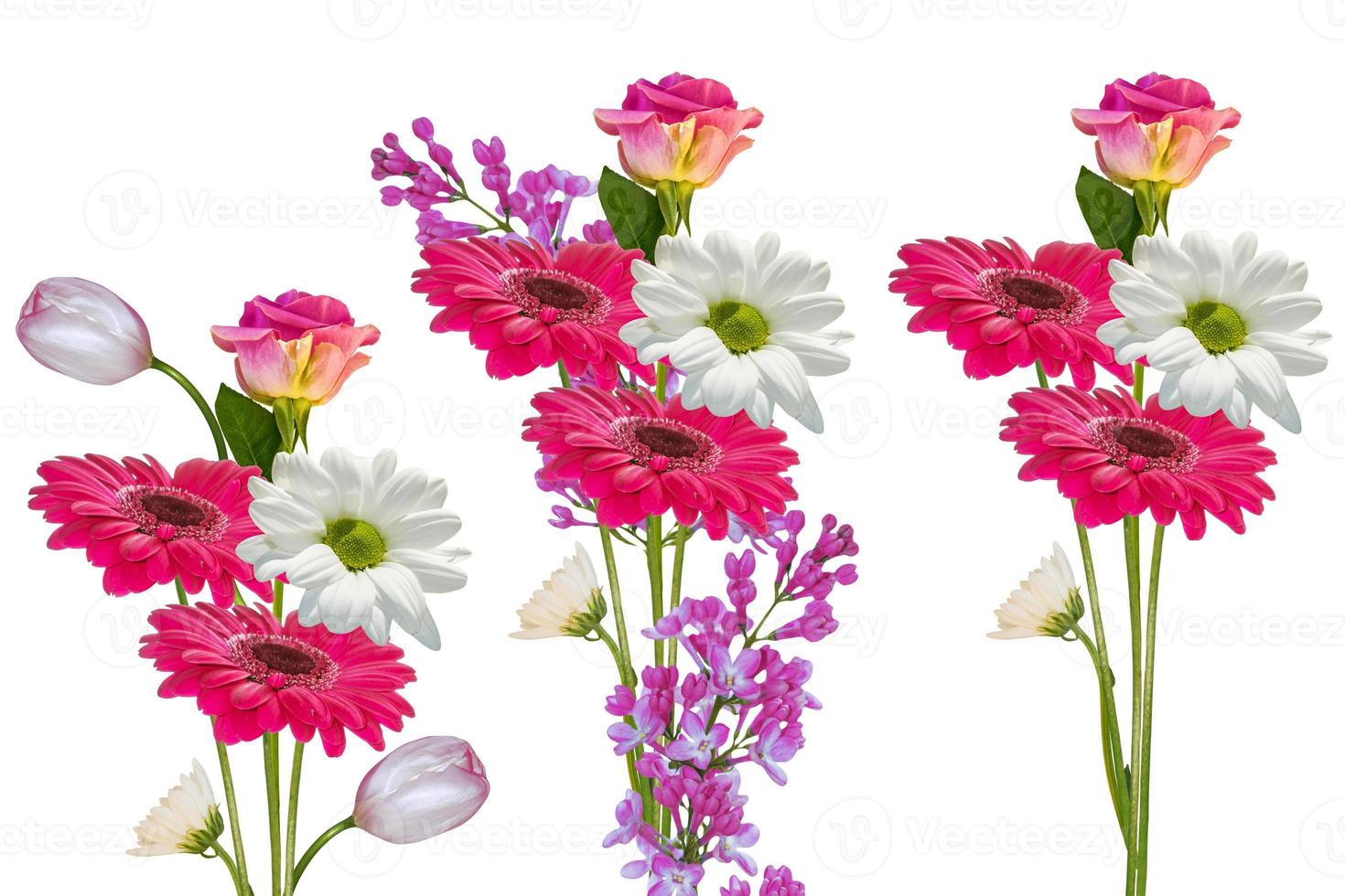 fleurs vibrantes colorées de chrysanthème, gerbera, roses isolés sur fond blanc. photo