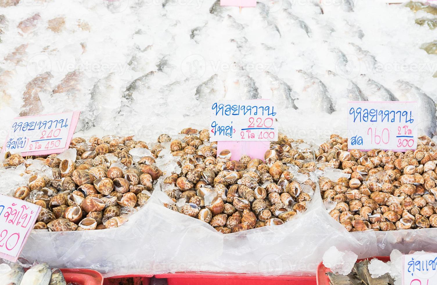 Coquillage babylon tacheté vendu sur le marché photo