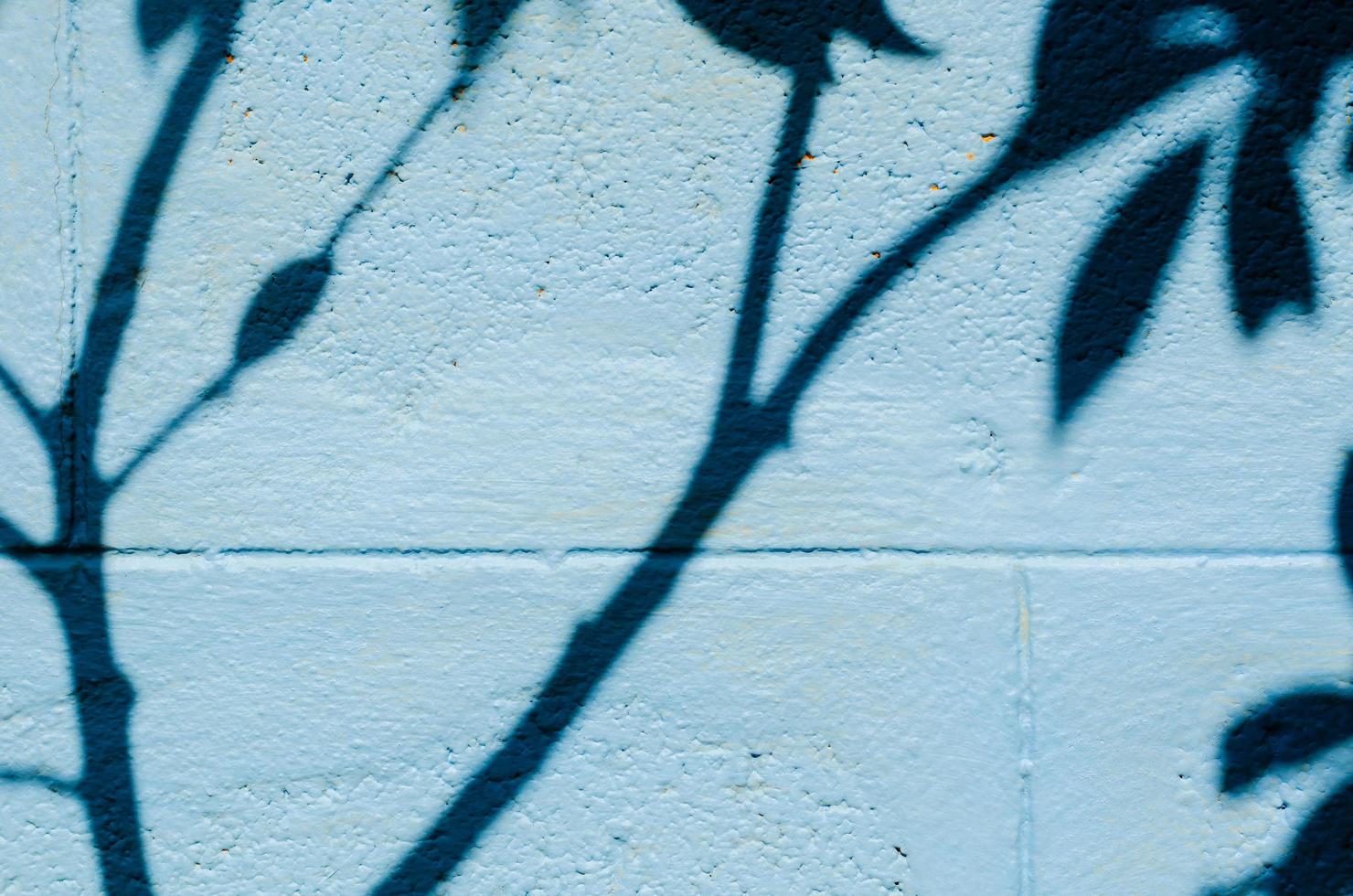 ombre des feuilles et des arbres sur le vieux mur peint en bleu pour le fond et la texture. photo