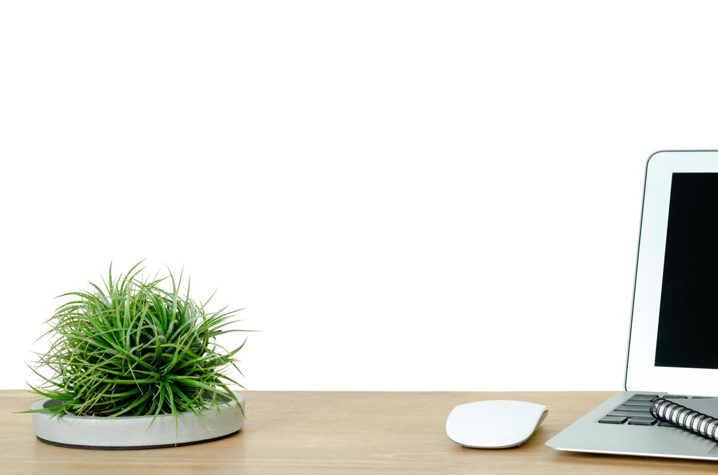 tillandsia airplant qui est une plante moderne posée sur un plateau en ciment conçu décore sur le bureau en bois du bureau. photo