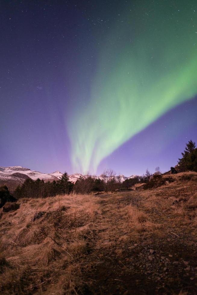 aurores boréales dans la nuit étoilée d'islande, tir vertical. photo