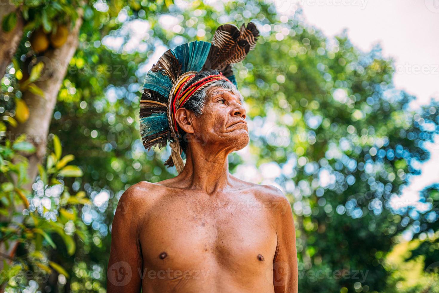 indien de la tribu pataxo, avec une coiffe de plumes. Indien brésilien âgé regardant vers la droite photo