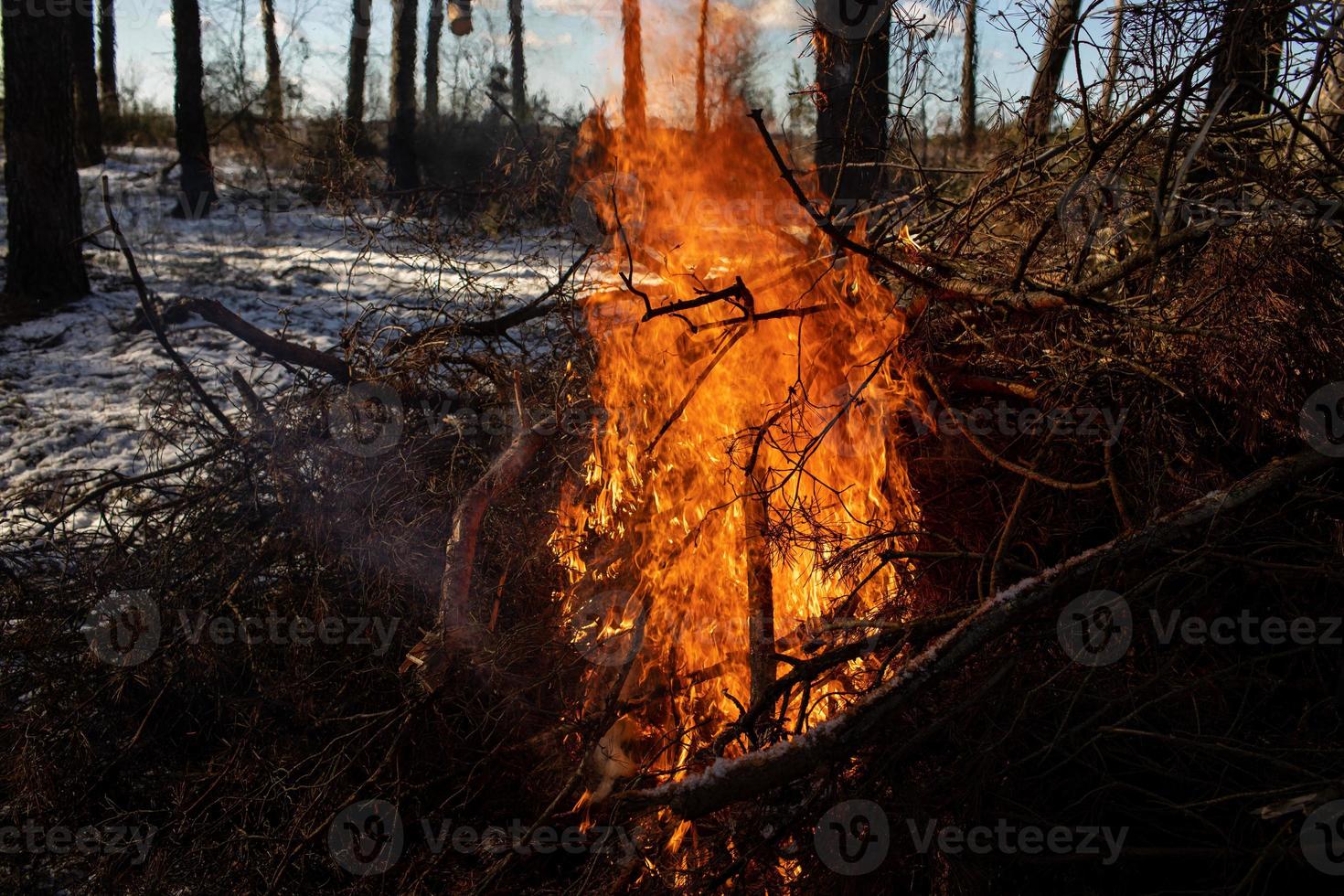 feu brûlant. le feu brûle dans la forêt. texture du feu brûlant. feu de joie pour cuisiner dans la forêt. brûler des branches sèches. feu touristique dans la forêt. texture des branches brûlantes photo