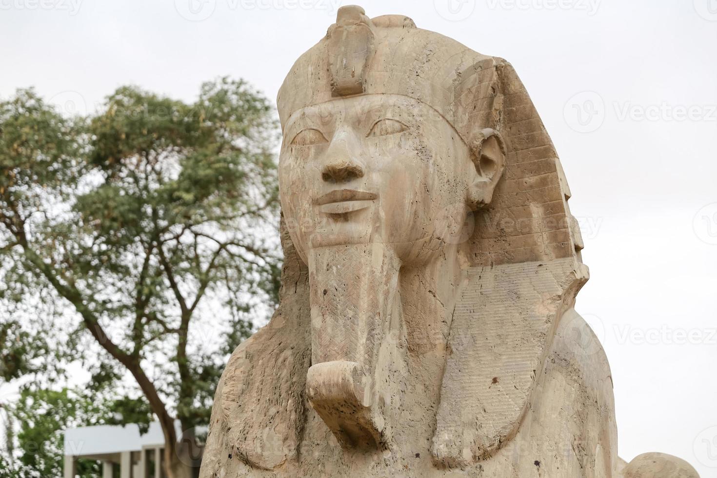 sphinx de memphis, le caire, egypte photo