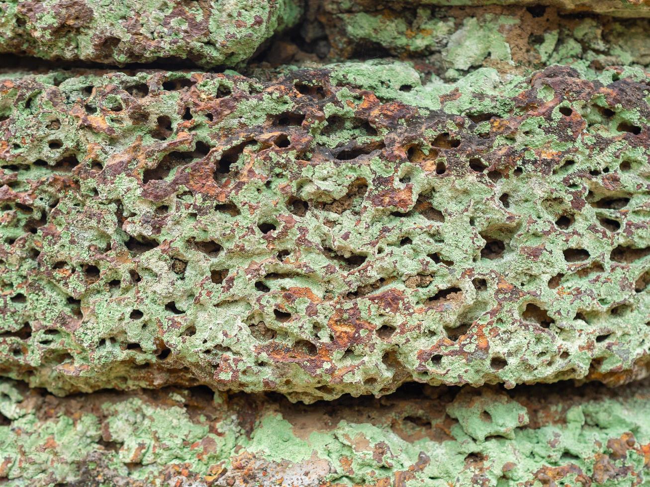 gros plan sur un mur en blocs de pierre de latérite avec de beaux motifs de croissance de mousse verte. photo