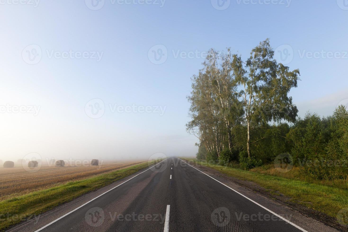 route de brouillard, forêt photo