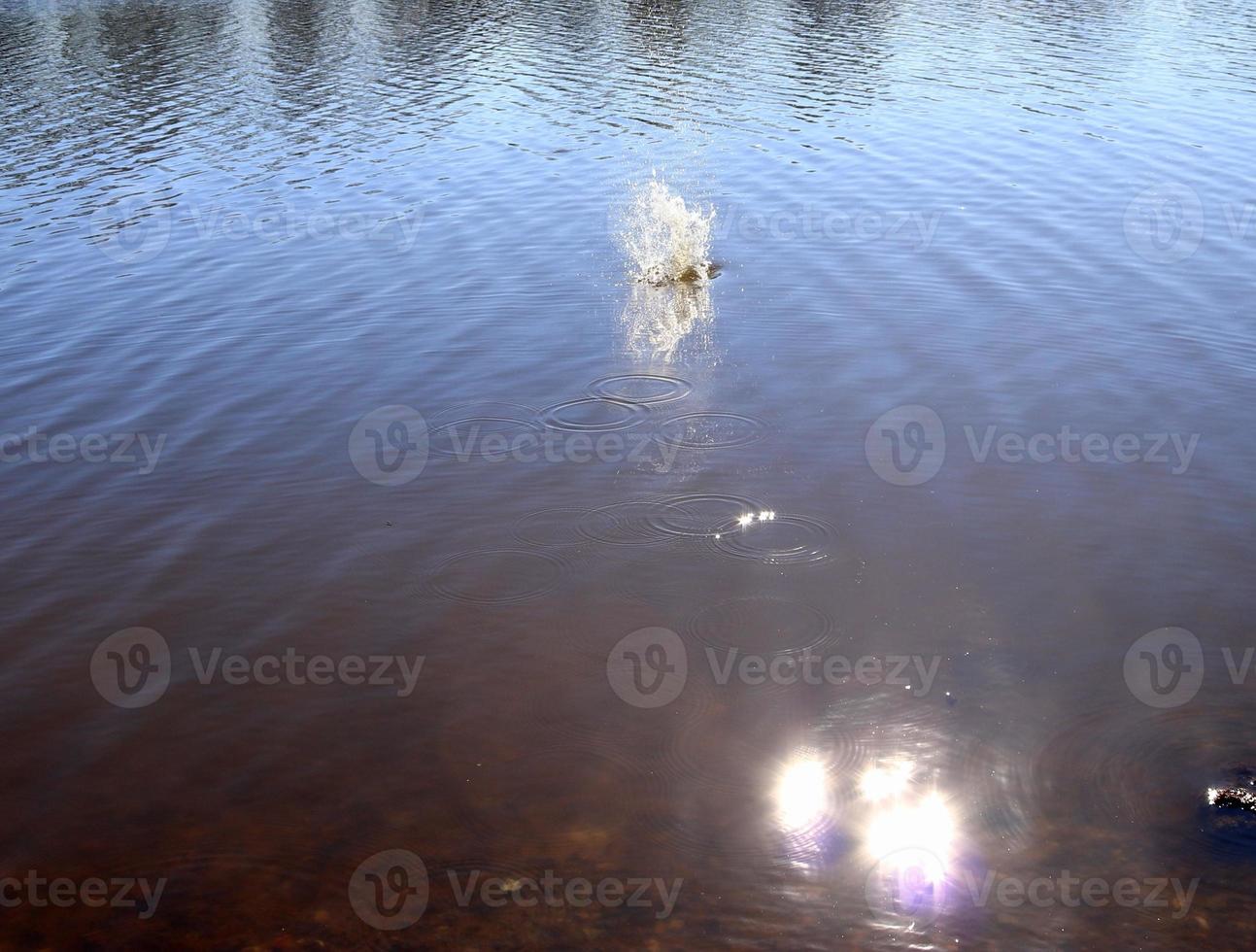 belle eau dans un lac avec des éclaboussures d'eau et des ondulations à la surface avec des nuages et des reflets de ciel bleu photo