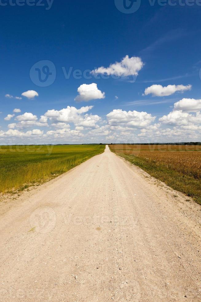 petite route de campagne photo