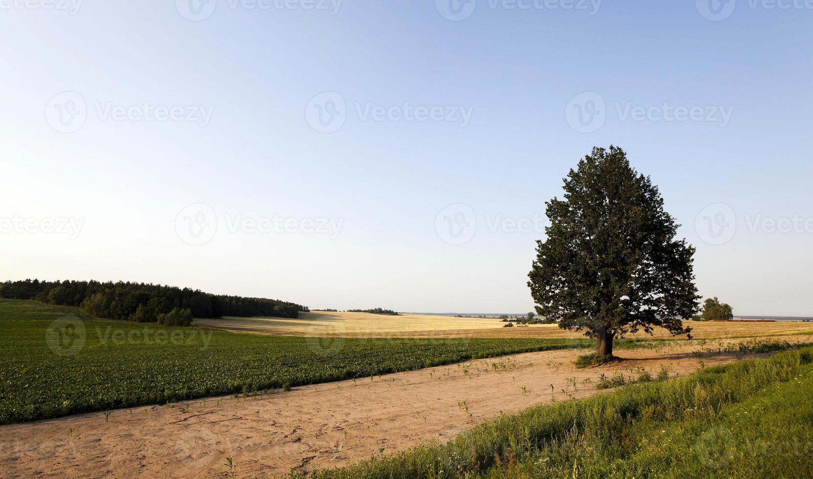 photo agriculture, europe