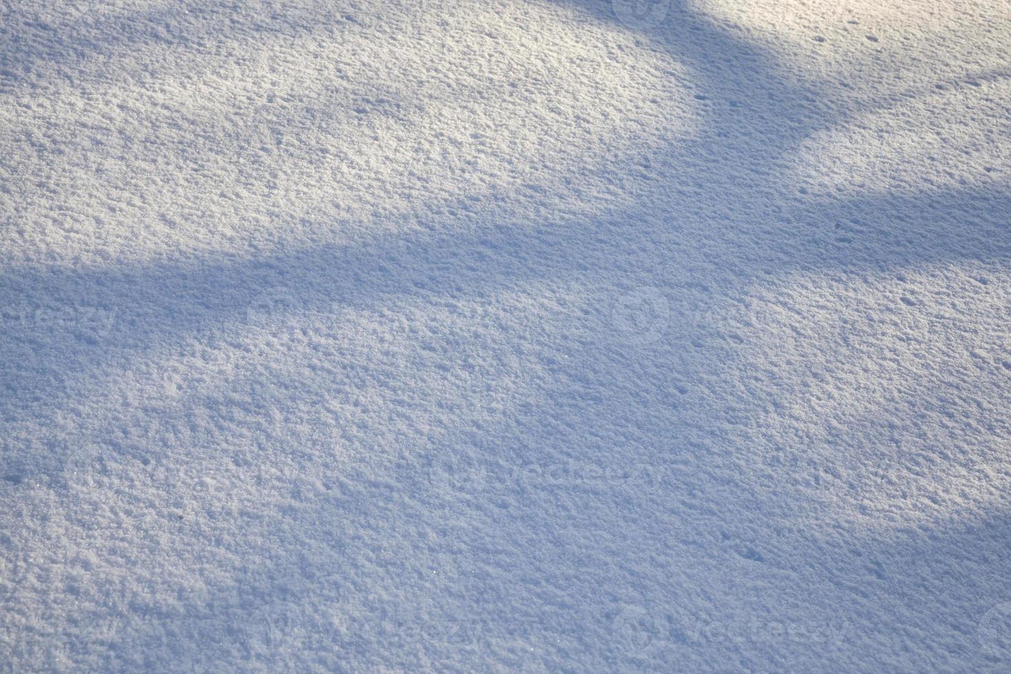 ombres sur la neige photo