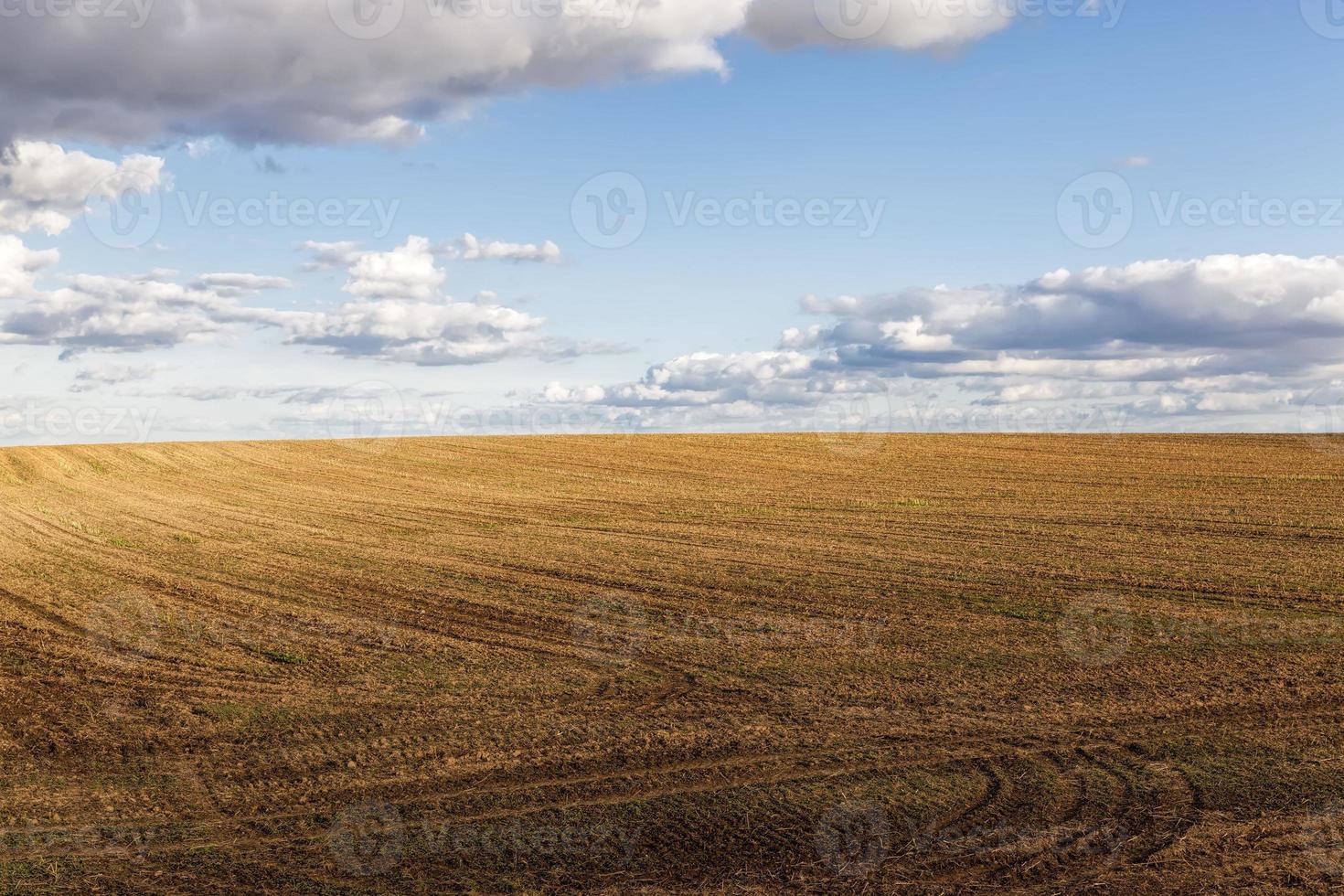 un champ agricole photo