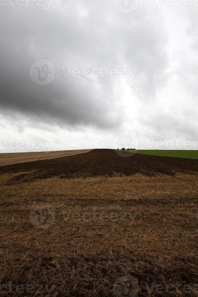 terre labourée à l'automne photo