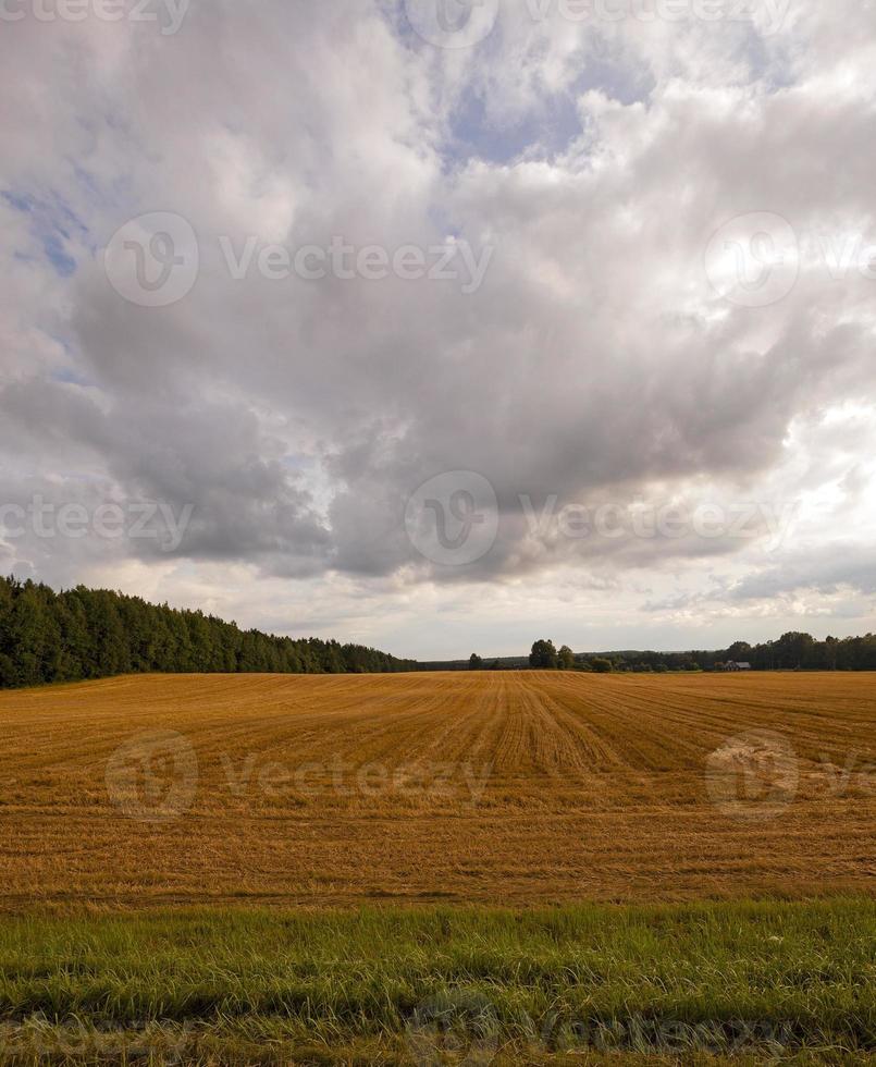 temps nuageux - le ciel d'orage de couleur sombre sur un champ agricole photo