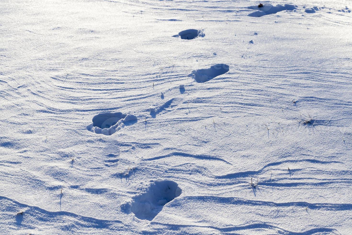 congères de neige en hiver photo