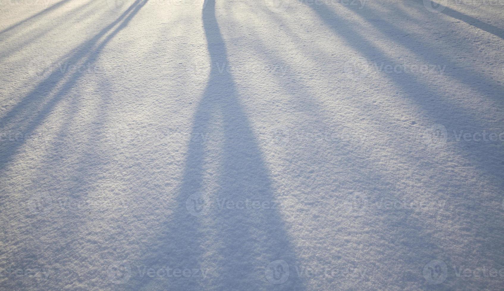 ombres sur la neige photo