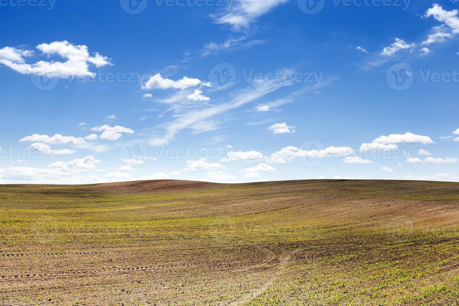 champ agricole et ciel photo