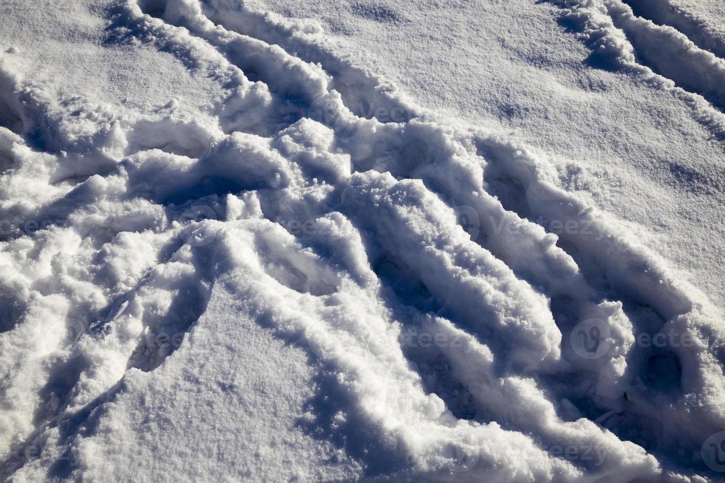 piste sur une route d'hiver photo