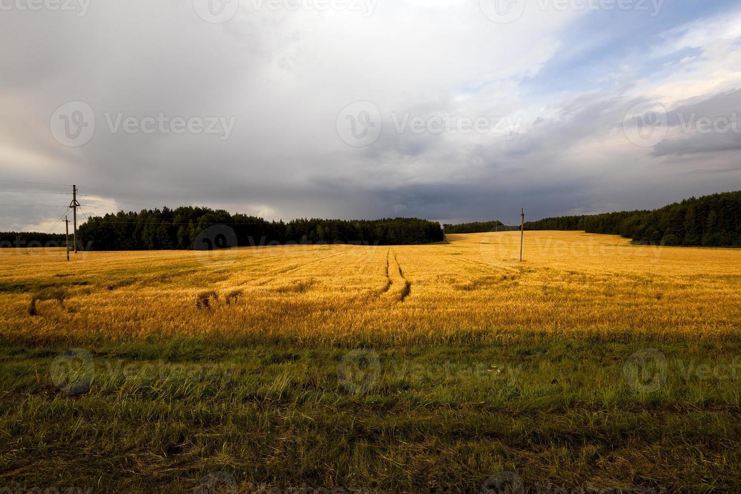 temps et ciel nuageux photo