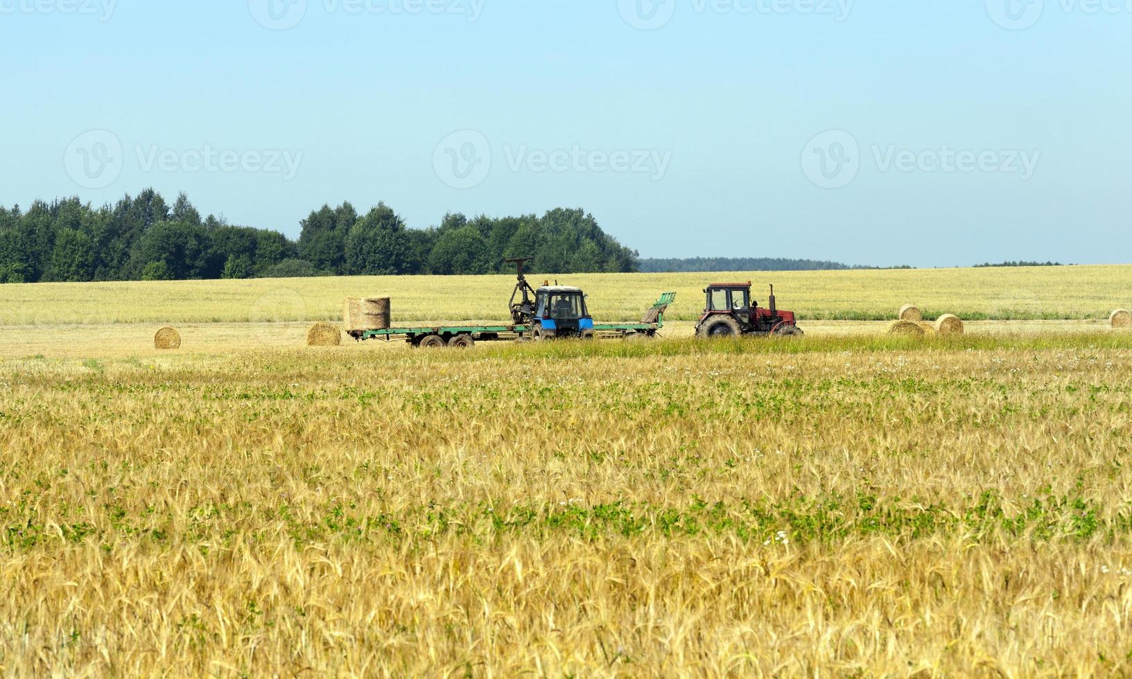 champ agricole et ciel photo