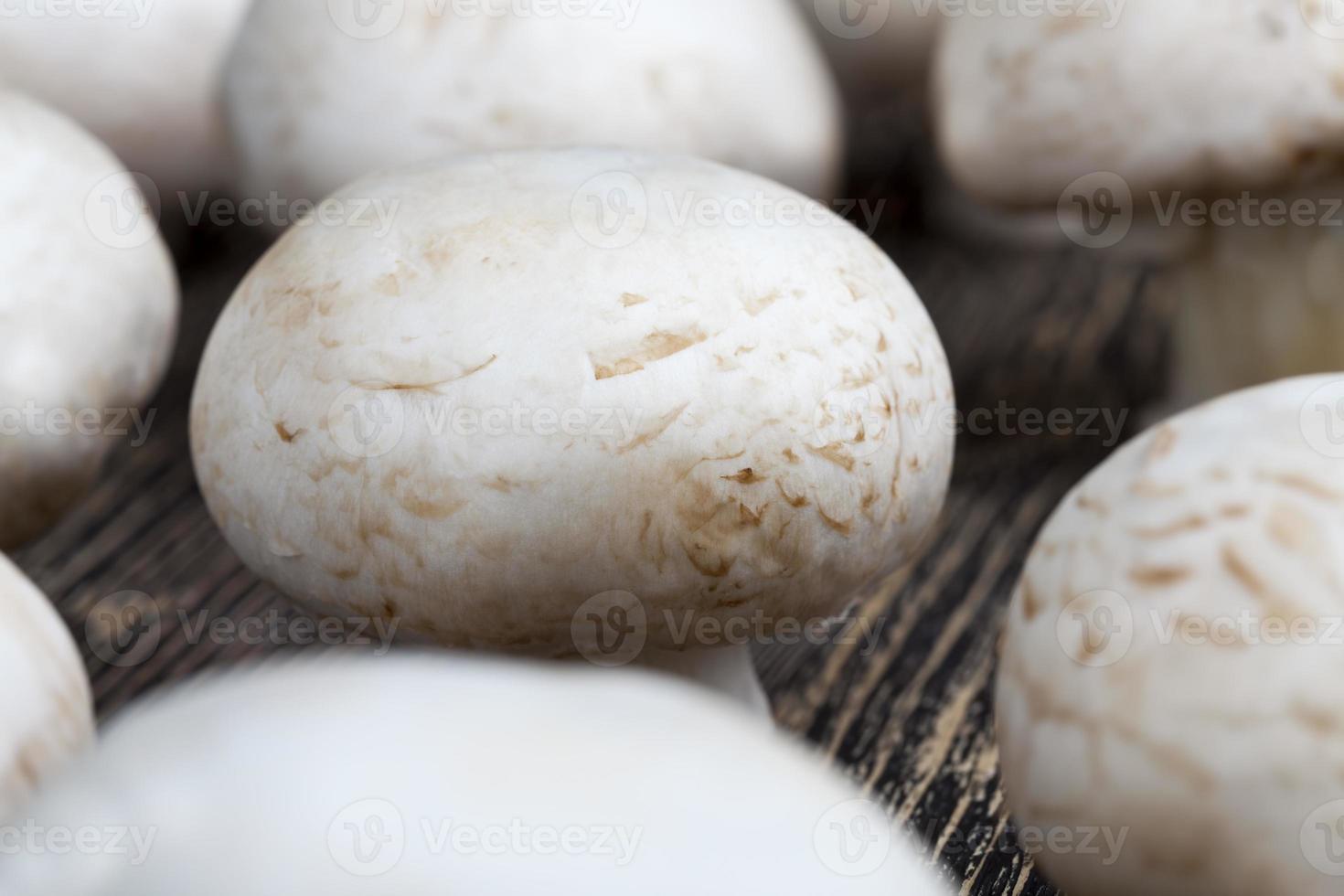 champignon de champignons non lavés pendant la cuisson photo