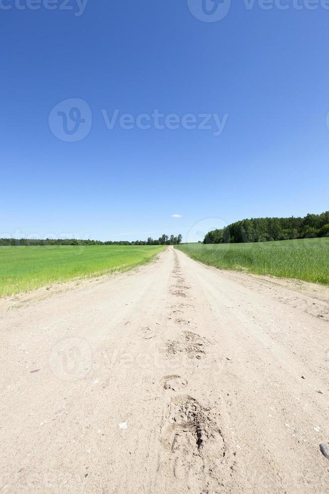 chemin de terre, champ photo