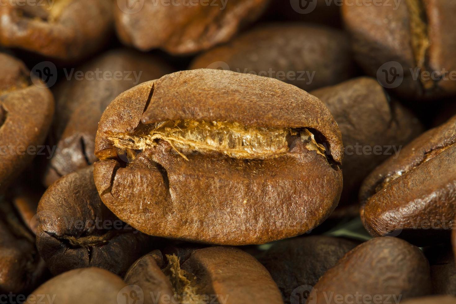 grains de café en gros plan photo