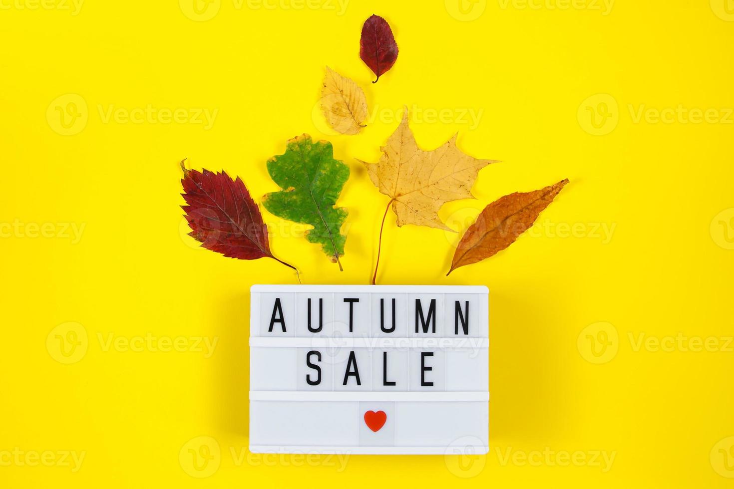 concept de vente d'automne. bannière de remise promotionnelle sur fond de feuilles tombées jaunes. photo