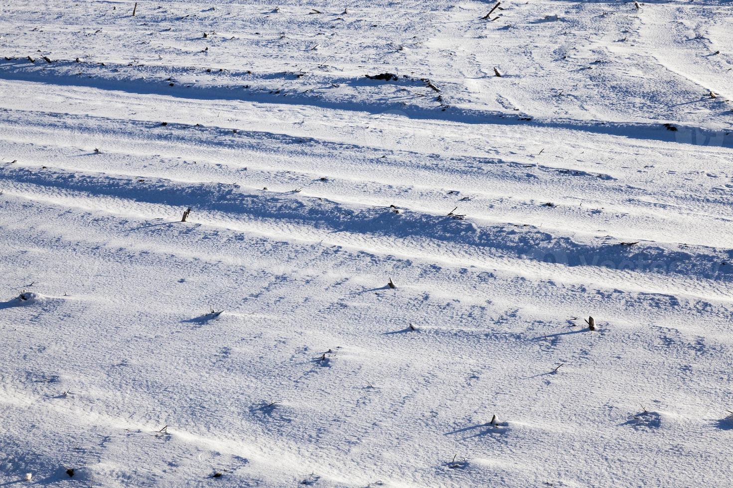 congères de neige en hiver photo