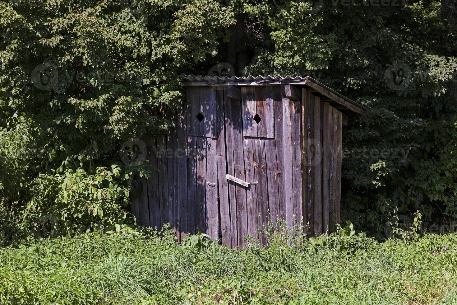 toilette en bois, parc photo