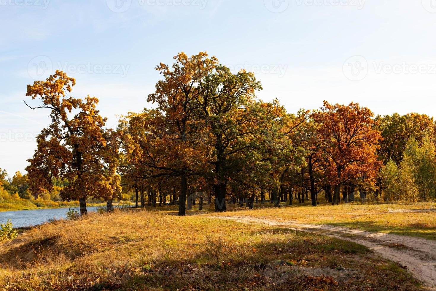 paysage d'automne avec chênaie en septembre photo