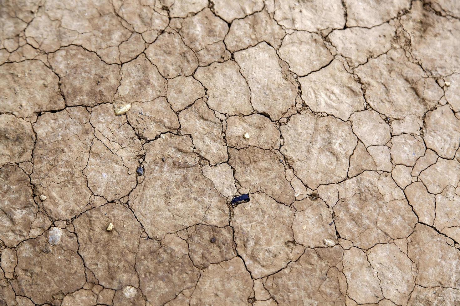 terre sèche dans la nature photo