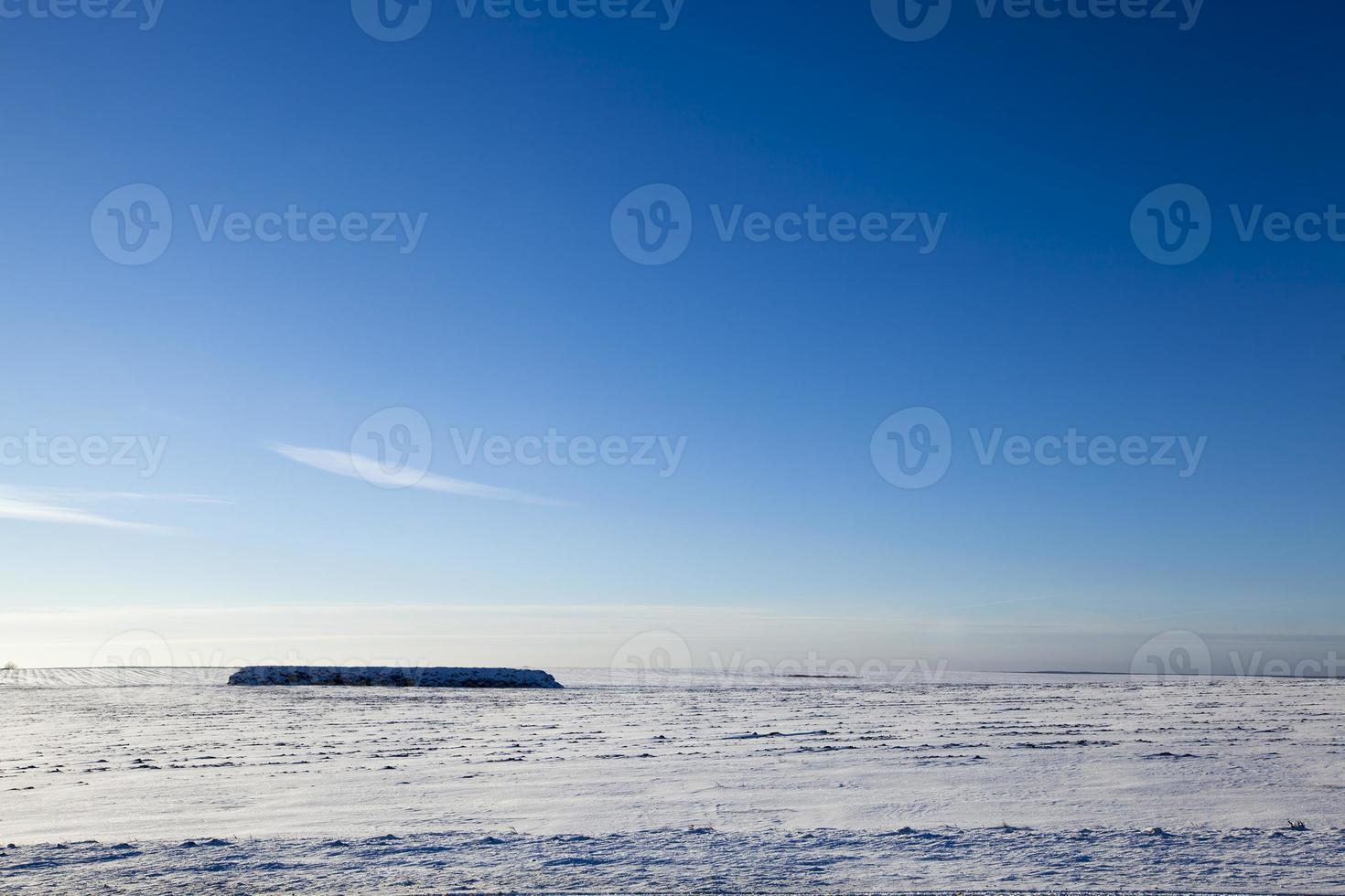 neige en hiver photo