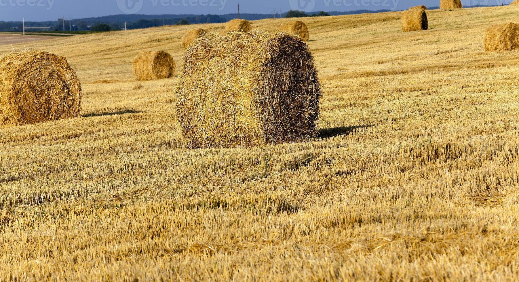 tas de paille photo