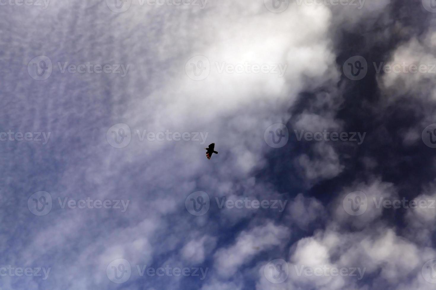 ciel avec des nuages photo