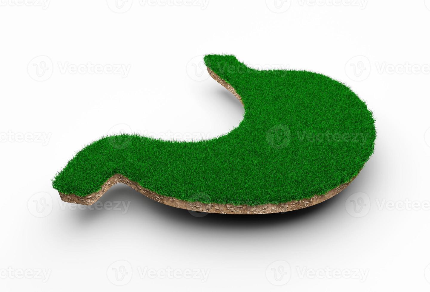 forme d'estomac faite d'herbe verte et de section transversale de texture de sol rocheux avec illustration 3d photo