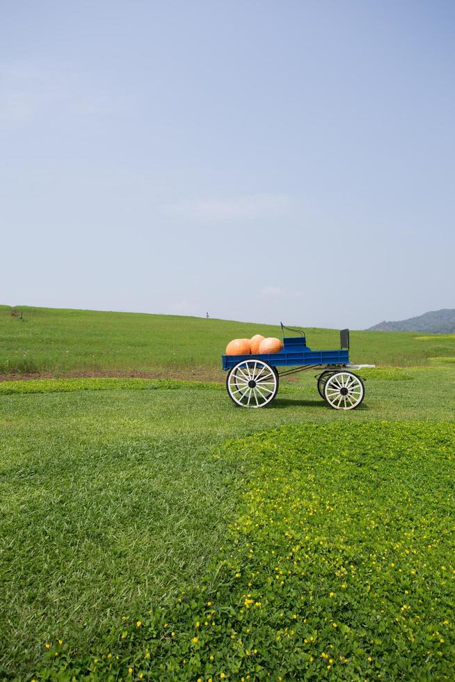 wagon plein de citrouilles à la ferme photo