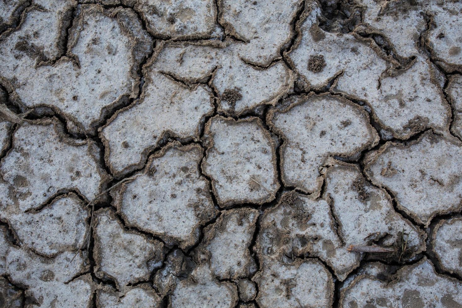 fond de terre craquelée sèche ou de terre pendant la sécheresse photo