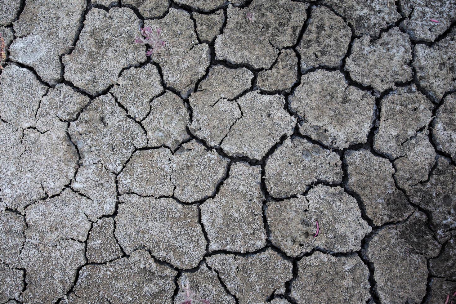 fond de terre craquelée sèche ou de terre pendant la sécheresse photo