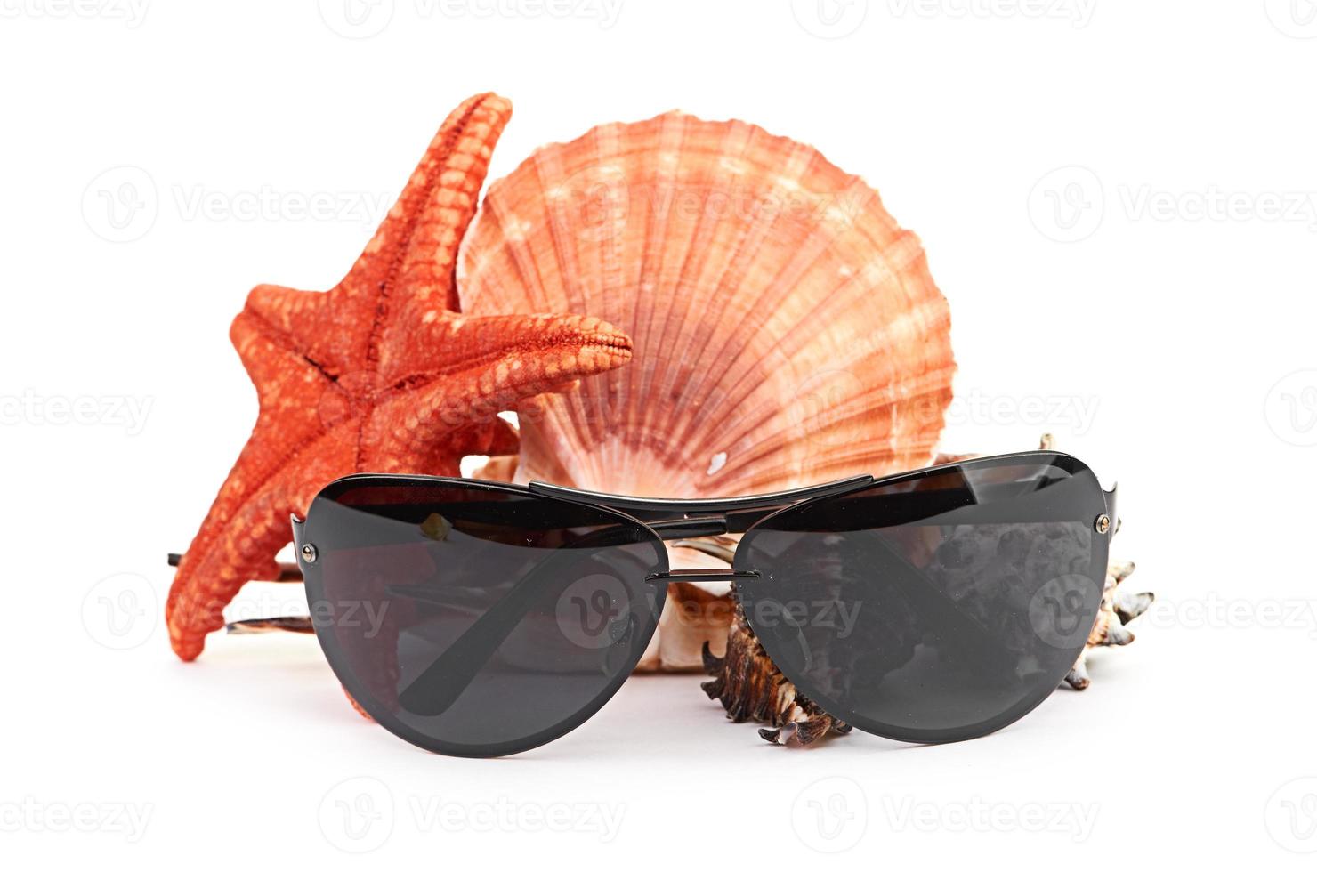 lunettes de soleil sur l'étoile de mer et la coquille photo