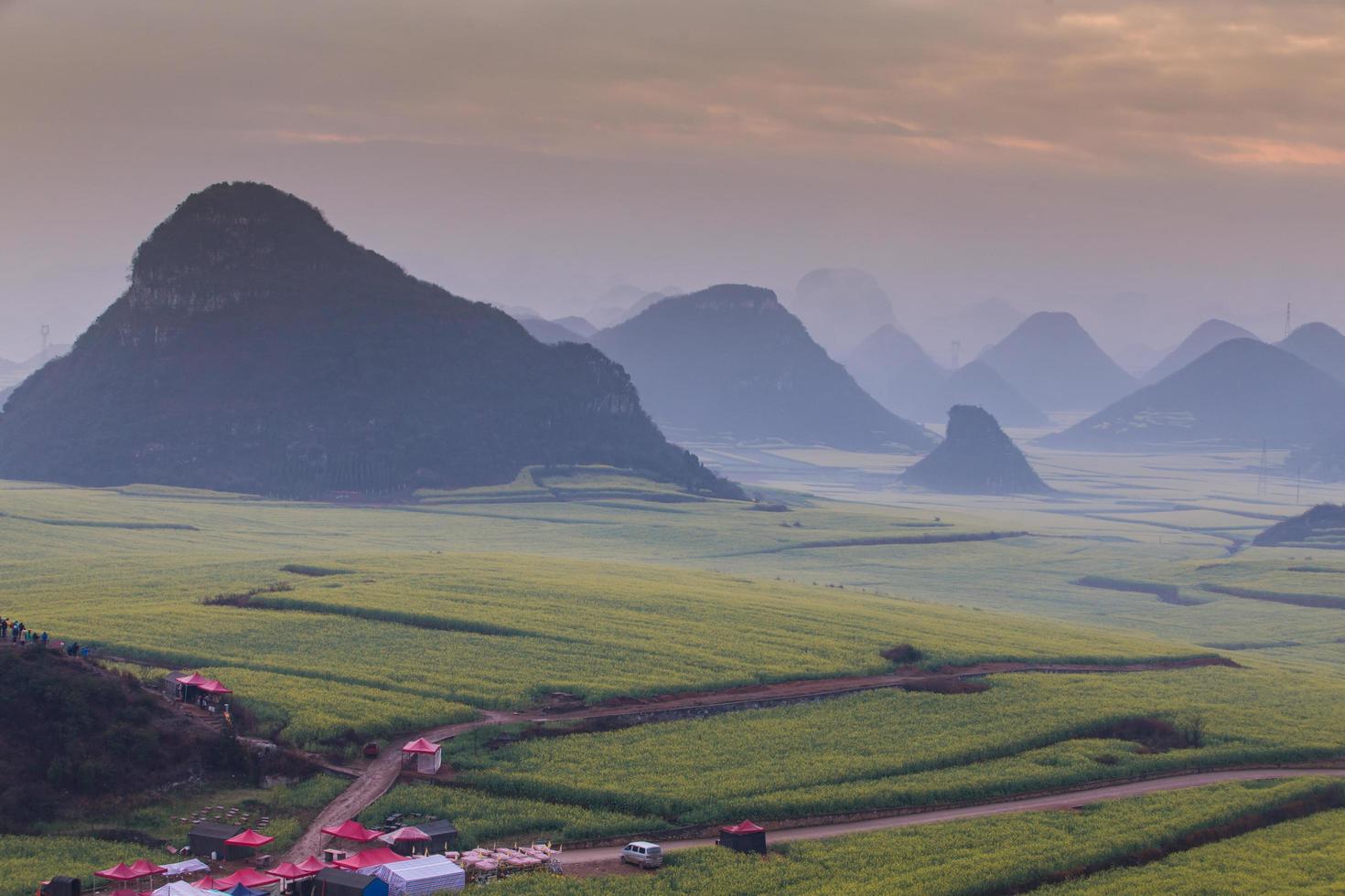 champ de fleurs de colza jaune avec la brume à luoping, chine photo