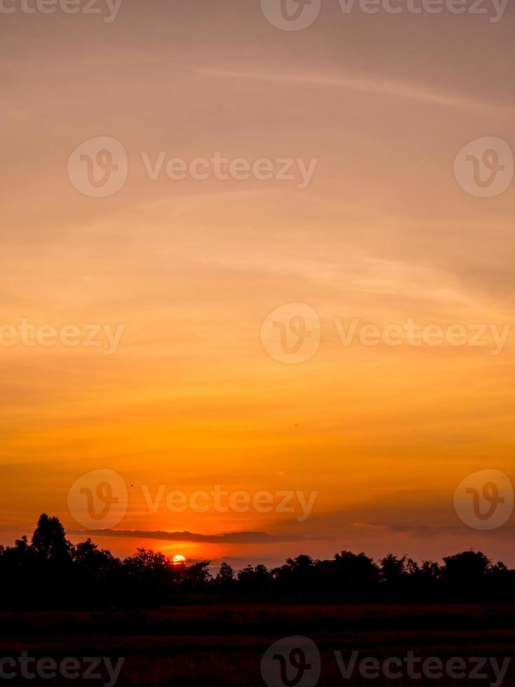 silhouette coucher de soleil sur la rizière photo