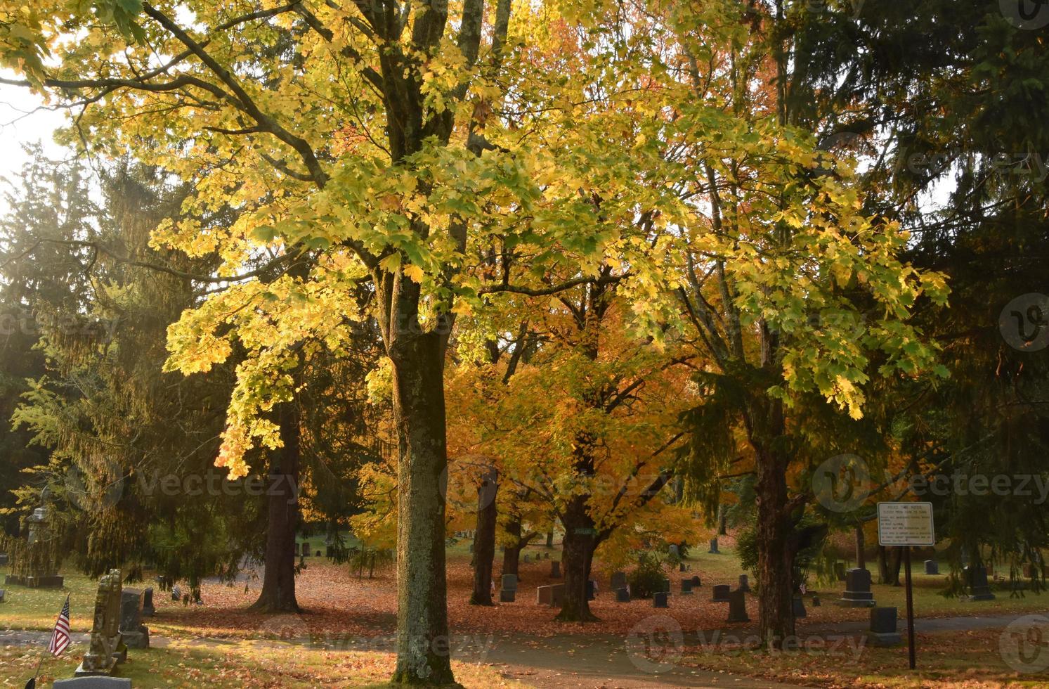 arbres aux couleurs vives dans un cimetière à l'automne photo