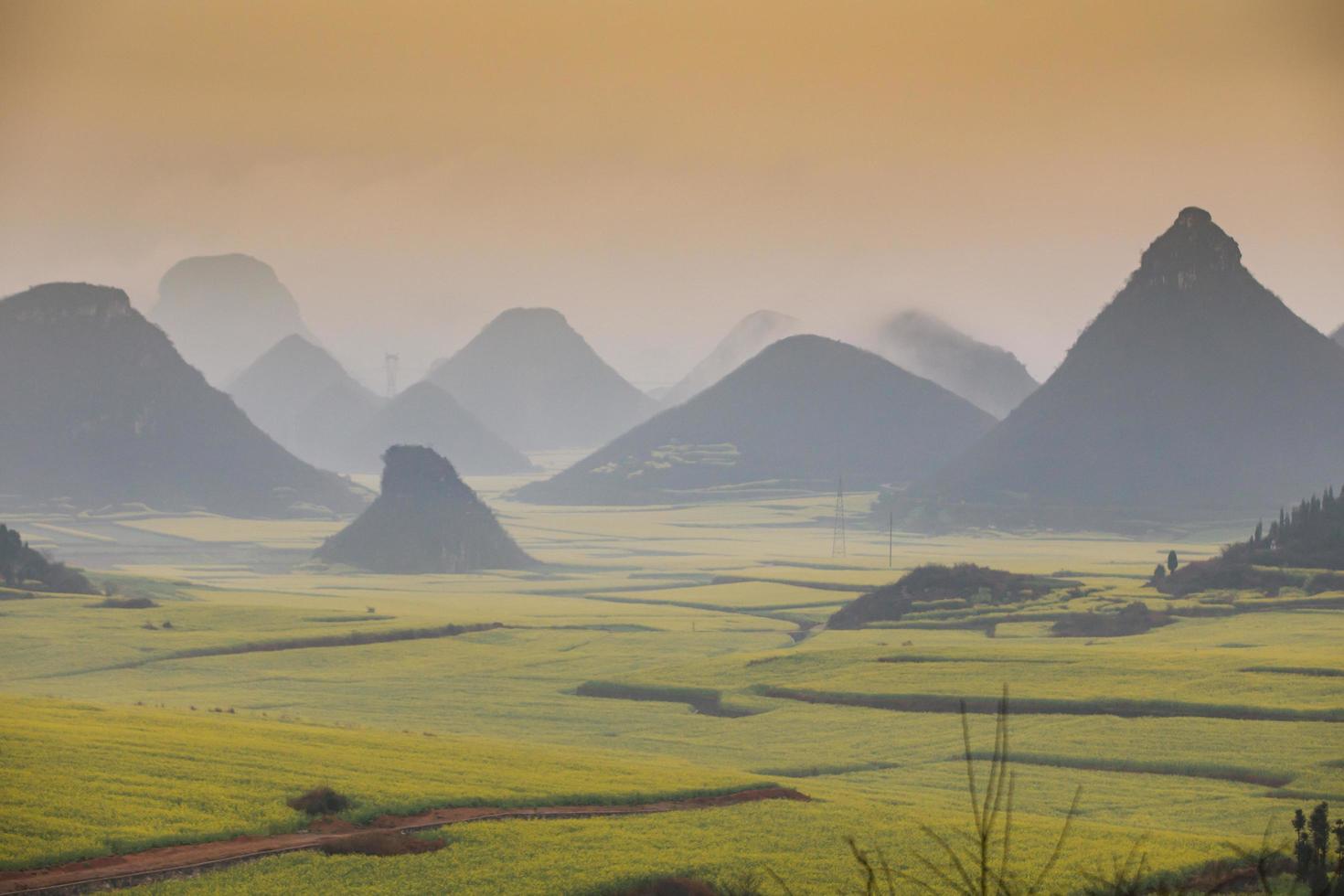 champ de fleurs de colza jaune avec la brume à luoping, chine photo